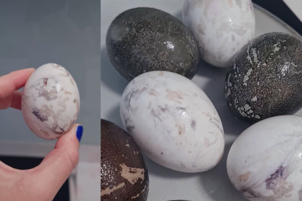 Mramorna jaja bojana u hibiskusu Foto: Mirovina.hr