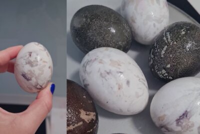 Mramorna jaja bojana u hibiskusu Foto: Mirovina.hr