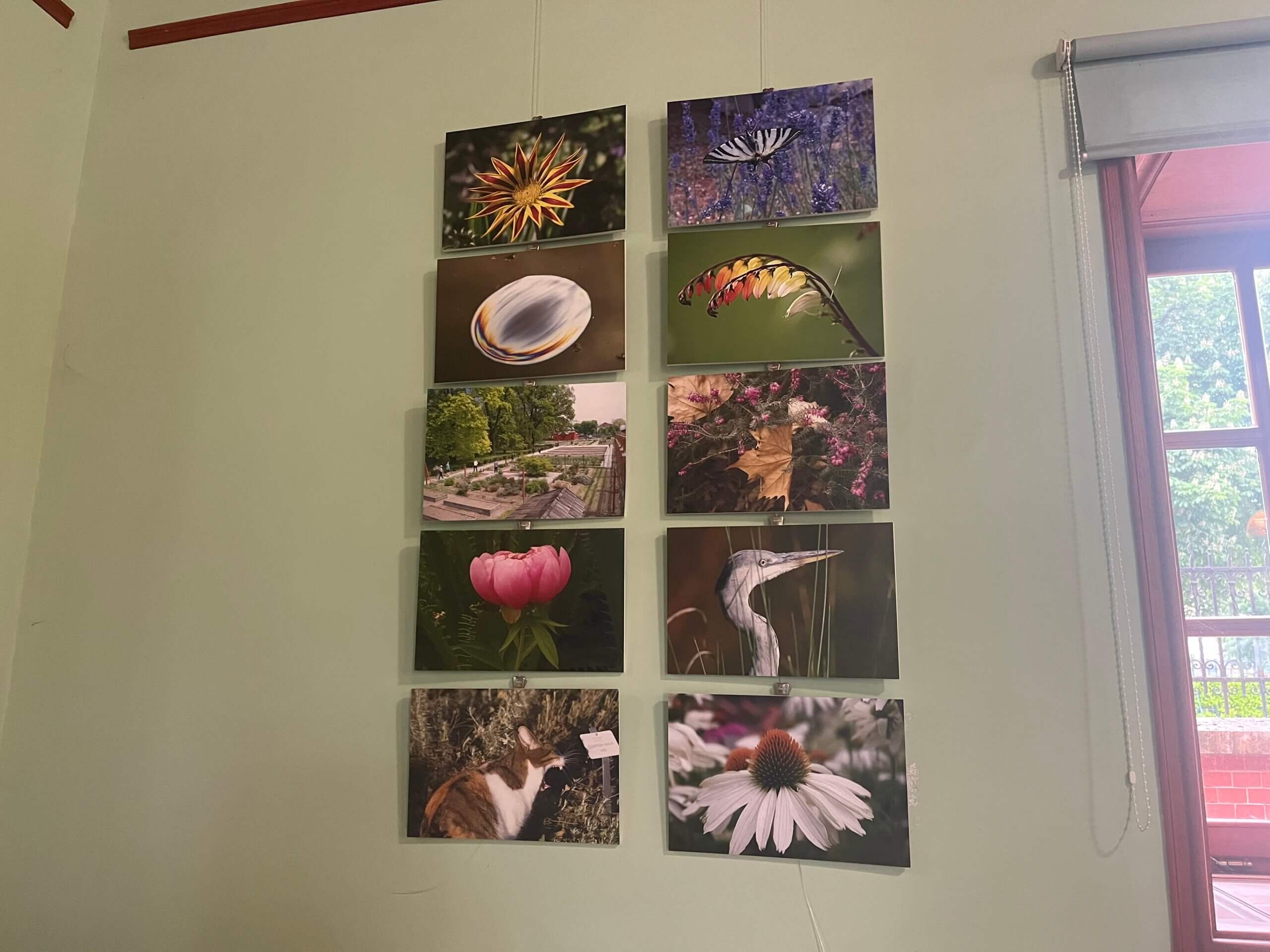 Fotografije Julije Domac