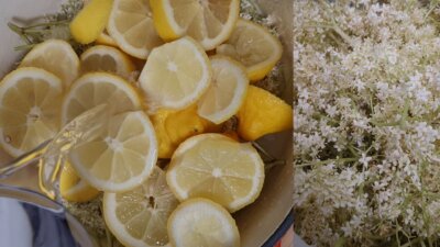 Sok od cvjetova bazge i limuna | Mirovina.hr