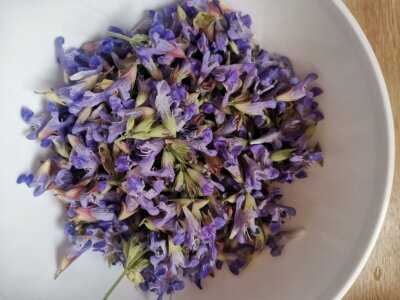 Cvjetovi kadulje ubrani za sirup | Mirovina.hr