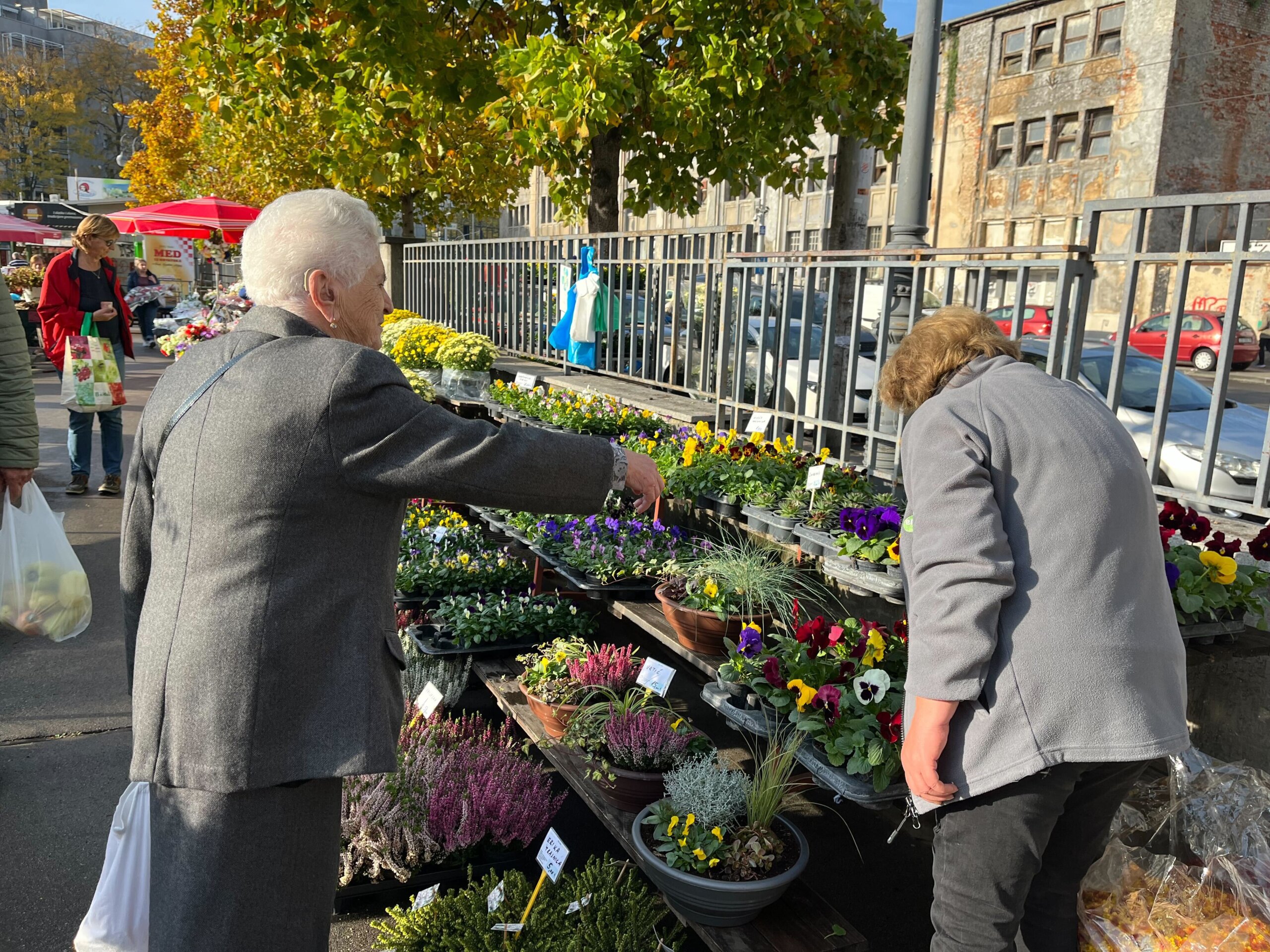 Umirovljenica kupuje cvijeće