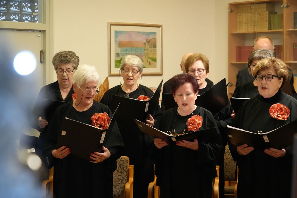 Nastup umirovljenica